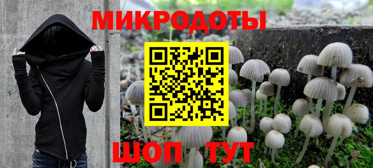 Галлюциногенные грибы мицелий  Вход с VPN  Зеленокумск 