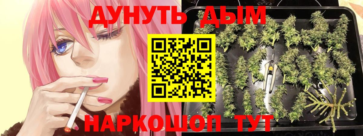 Канабис OG Kush  Марихуана гибрид  Зеленокумск  Вход с VPN  Шишки марихуана MAZAR 